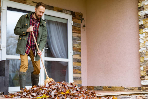 Best Basement Cleanout Services  in Cotati, CA