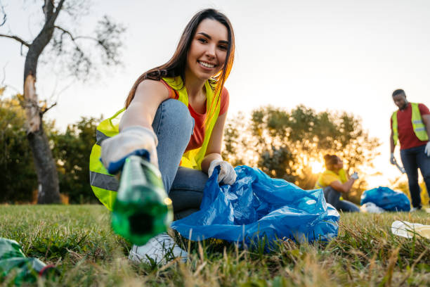 Debris Removal in Cotati, CA